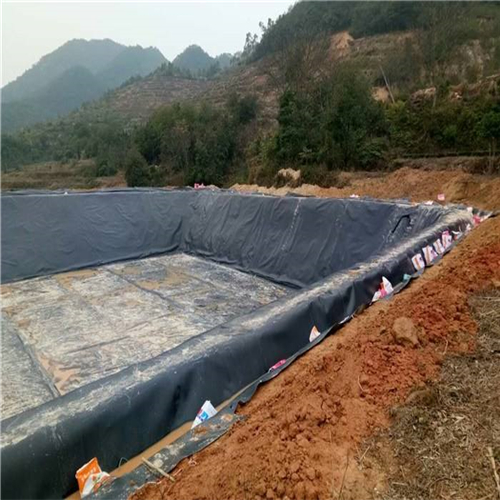 您了解魚塘防滲膜施工方法有哪些嗎？